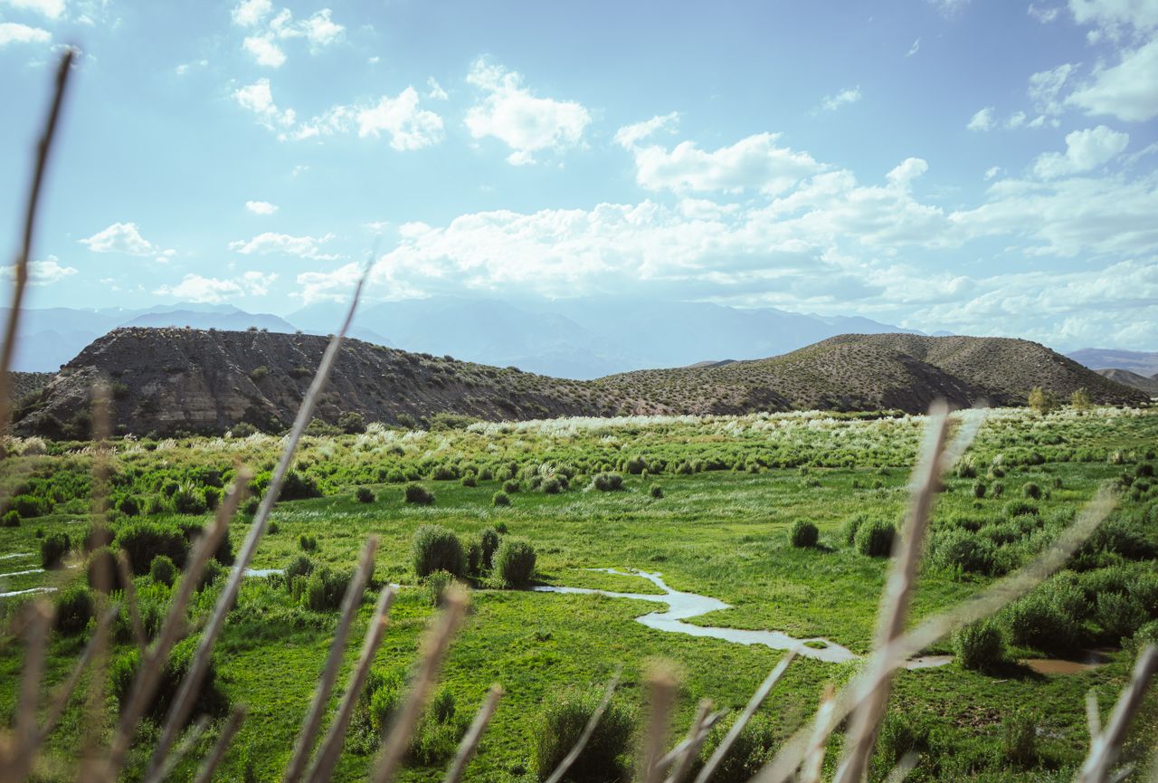 Serene view of Uspallatas vibrant greenery framed by hills under a clear sky.